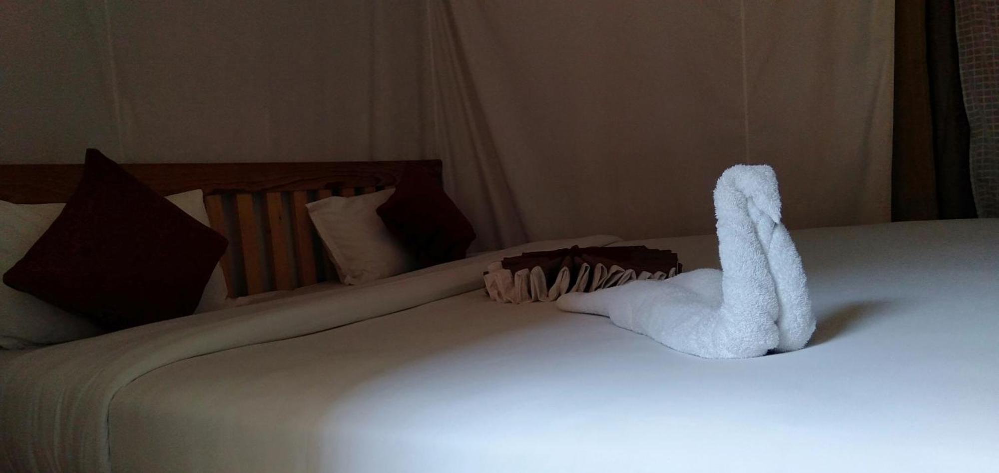Kalash Parkaze And Tent Inn Pokhara Room photo